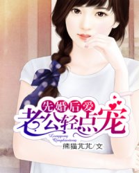 太极医仙叶凡唐若雪