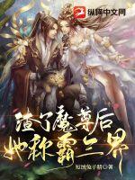 箫天策陈月华全文免费阅读