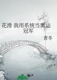 北宋穿越指南小说到底讲的是什么