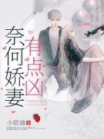 女神的贴身侍卫